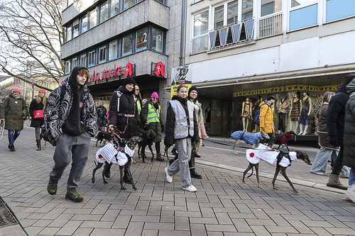 Galgo Marsch Köln 2025 724.jpg