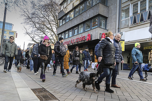 Galgo Marsch Köln 2025 707.jpg