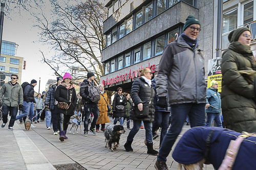 Galgo Marsch Köln 2025 705.jpg