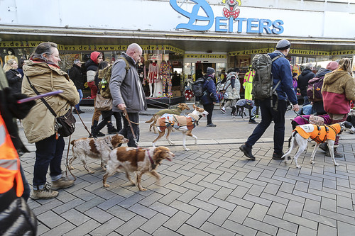 Galgo Marsch Köln 2025 712.jpg