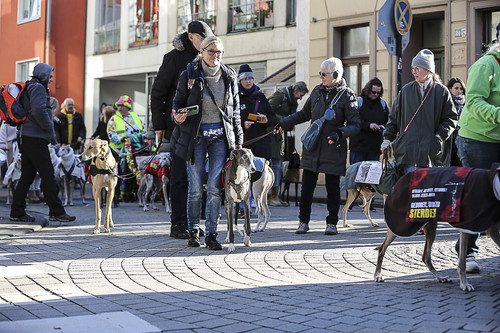 Galgo Marsch Köln 2025 284.jpg