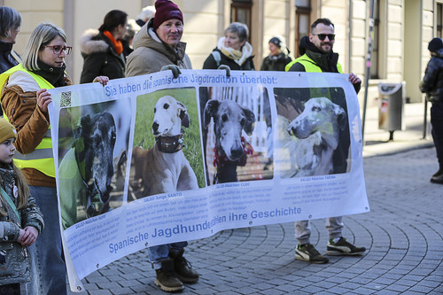 Galgo Marsch Köln 2025 308.jpg