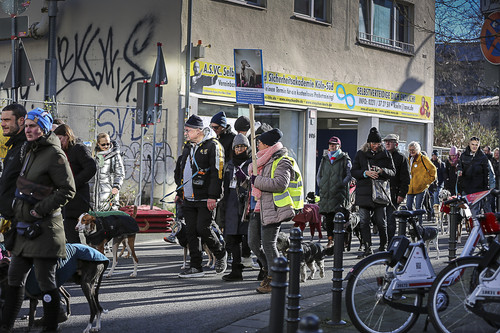 Galgo Marsch Köln 2025 459.jpg