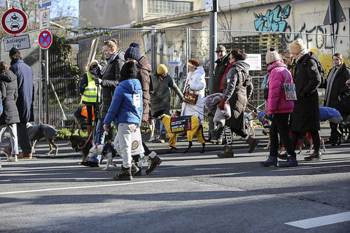 Galgo Marsch Köln 2025 480.jpg