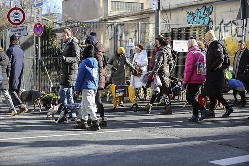 Galgo Marsch Köln 2025 481.jpg