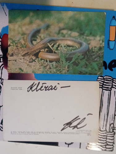 IMG 2025 02 02 15 43 43 795.jpg