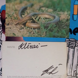 IMG 2025 02 02 15 43 43 795