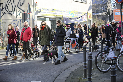 Galgo Marsch Köln 2025 610.jpg