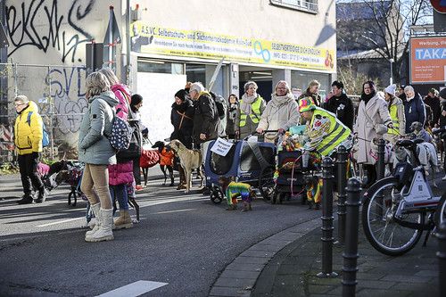 Galgo Marsch Köln 2025 570.jpg