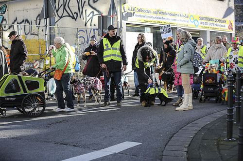 Galgo Marsch Köln 2025 565.jpg