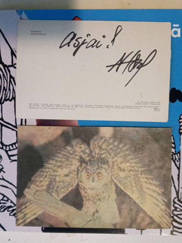 IMG 2025 02 02 15 44 02 633.jpg