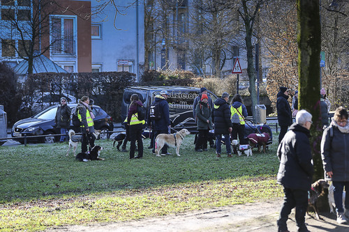 Galgo Marsch Köln 2025 41.jpg