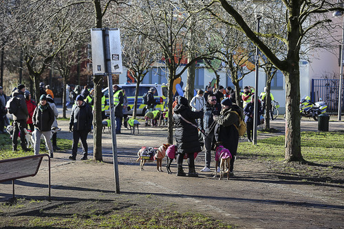 Galgo Marsch Köln 2025 43.jpg