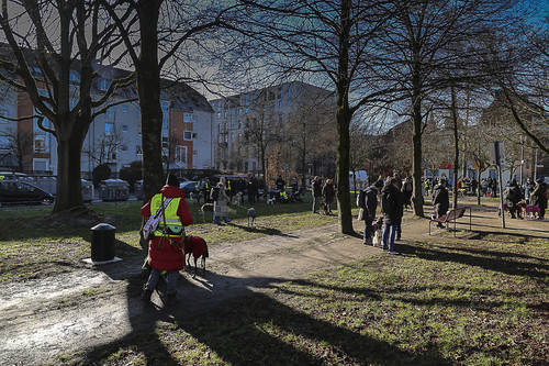 Galgo Marsch Köln 2025 50.jpg