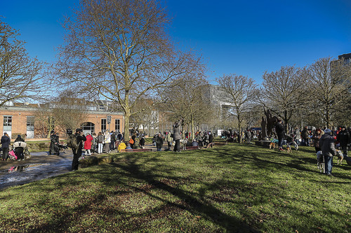 Galgo Marsch Köln 2025 45.jpg