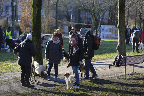 Galgo Marsch Köln 2025 42.jpg