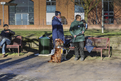 Galgo Marsch Köln 2025 40.jpg