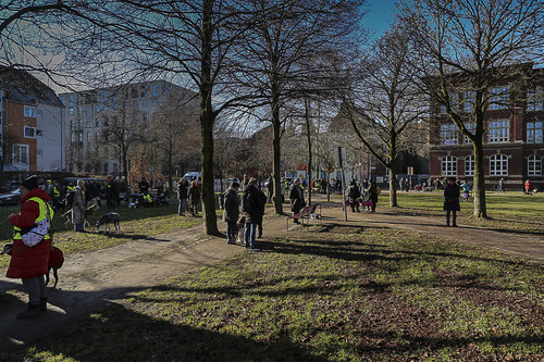 Galgo Marsch Köln 2025 51.jpg