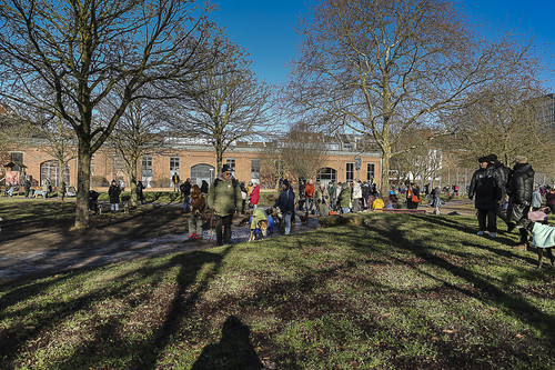 Galgo Marsch Köln 2025 53.jpg