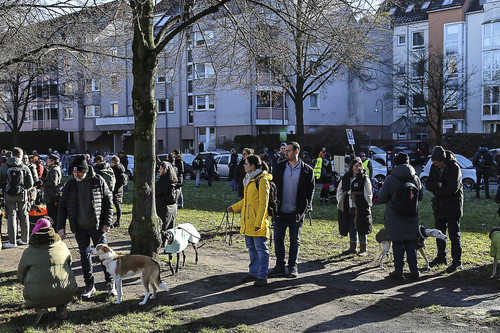 Galgo Marsch Köln 2025 49.jpg