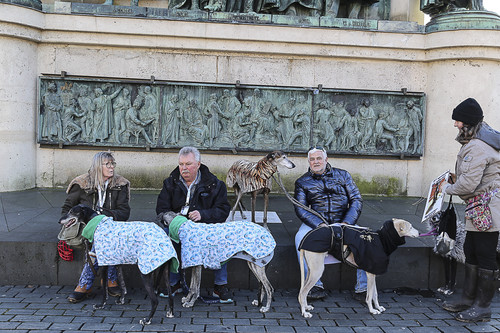 Galgo Marsch Köln 2025 739.jpg