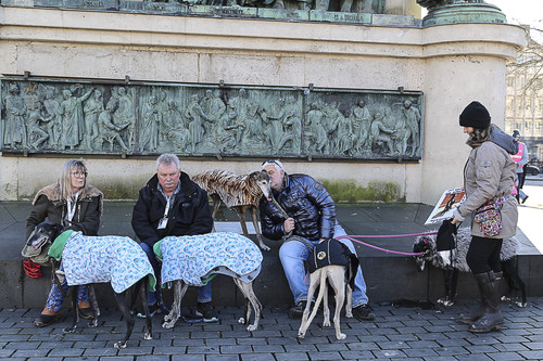 Galgo Marsch Köln 2025 741.jpg