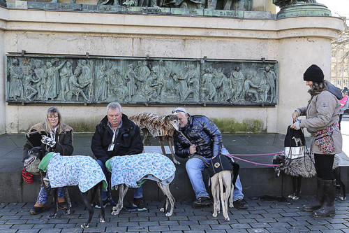 Galgo Marsch Köln 2025 743.jpg