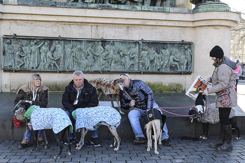 Galgo Marsch Köln 2025 742.jpg