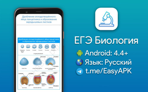 5831214907108997172 y 4.jpg