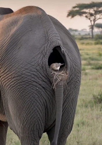 FB IMG 1738413573151.jpg