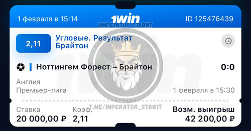 5833313668647991265 y 4.jpg