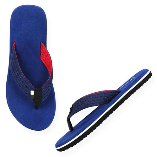 61dtcxwdhhL. SY575 .jpg