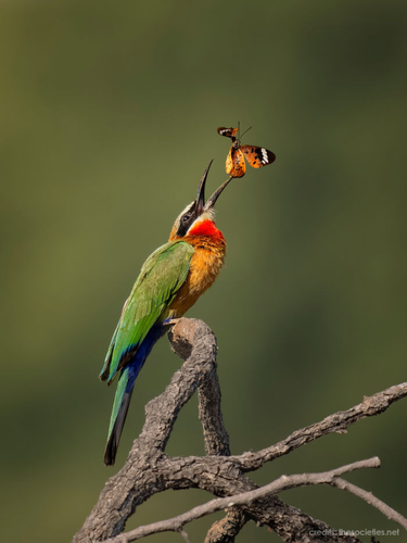 3df192a9 9e26 45b7 8d0c 79830c4a0f39.png