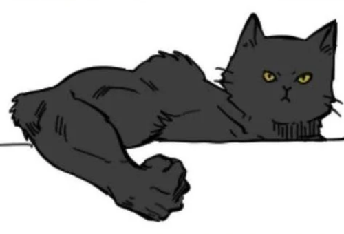 Screenshot 2025 02 01 at 11 13 22 Reddit https external preview.redd.it SZZuURurhAGpoej35cJioY0G5PPJ.png