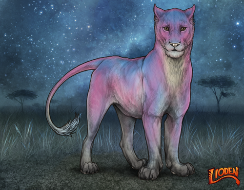 lioden wardrobe (2).png