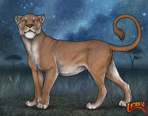 lioden wardrobe (1).png