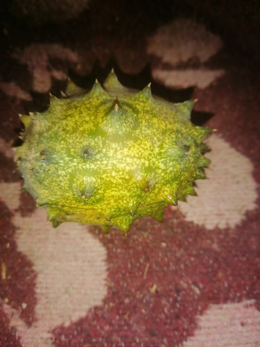 images%2Fimage 1738434791592.jpg