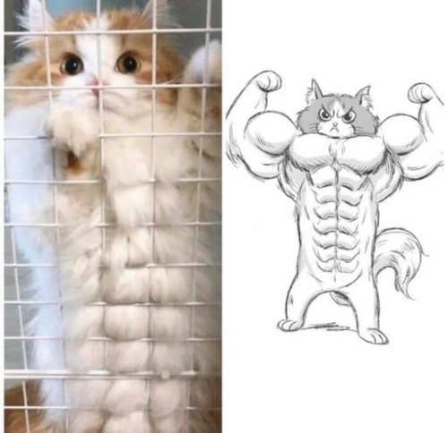 Screenshot 2025 02 01 at 11 49 00 Reddit https preview.redd.it clzuixltwjk31.jpg auto webp&s 53b0cb0.png