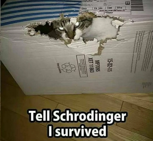 Screenshot 2025 02 01 at 11 54 10 Reddit https preview.redd.it vuuxfkmet8z61.png width 1080&crop sma.png