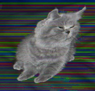 Screenshot 2025 02 01 at 11 42 29 Reddit https preview.redd.it the grey cat smug fluffy boi immune t.png