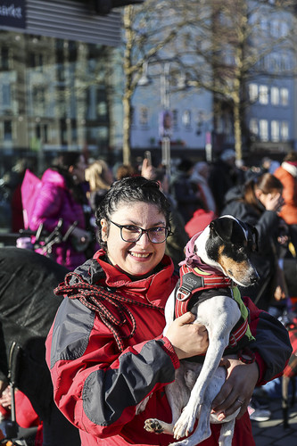 Galgo Marsch Köln 2025 858.jpg