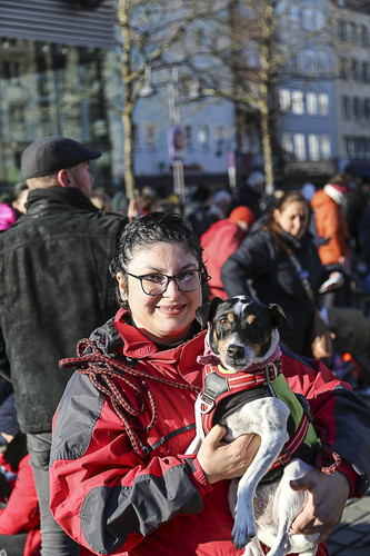 Galgo Marsch Köln 2025 859.jpg