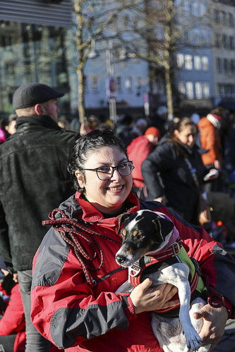 Galgo Marsch Köln 2025 860.jpg