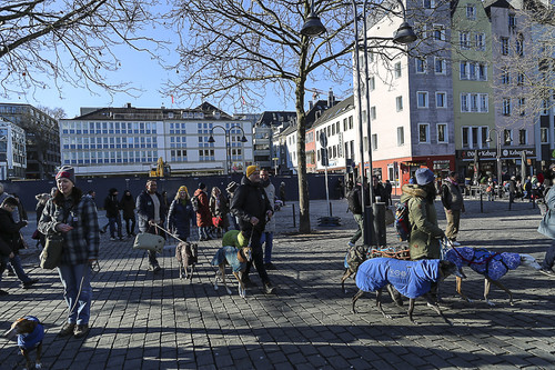 Galgo Marsch Köln 2025 761.jpg