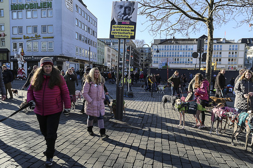 Galgo Marsch Köln 2025 789.jpg