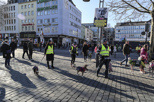 Galgo Marsch Köln 2025 791.jpg