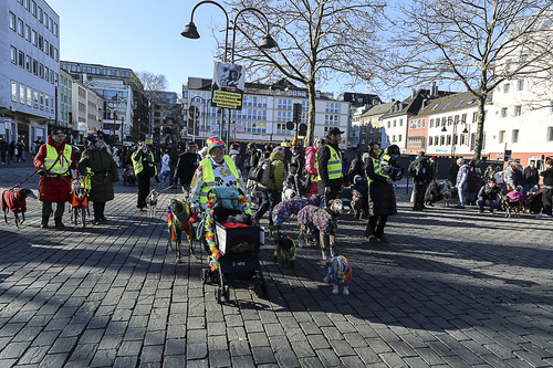 Galgo Marsch Köln 2025 811.jpg