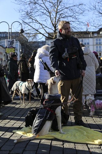 Galgo Marsch Köln 2025 815.jpg