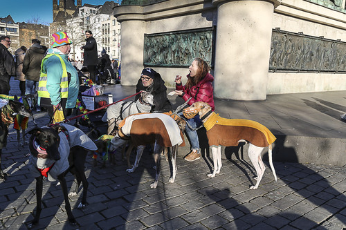 Galgo Marsch Köln 2025 936.jpg