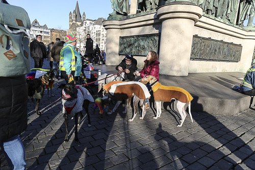 Galgo Marsch Köln 2025 939.jpg